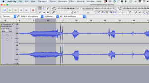 Hummingbird sound selection in Audacity